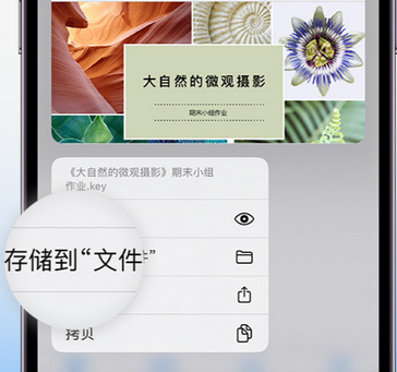 高青apple维修中心分享iPhone文件应用中存储和找到下载文件