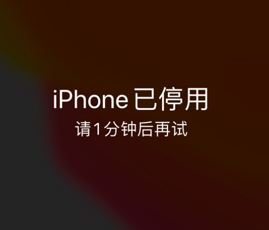 高青苹果手机维修分享:iPhone 显示“不可用”或“已停用”怎么办？还能保留数据吗？ 