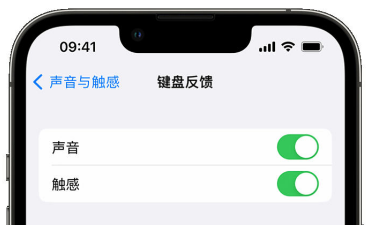 高青苹果手机维修分享iPhone 14触感键盘使用方法 