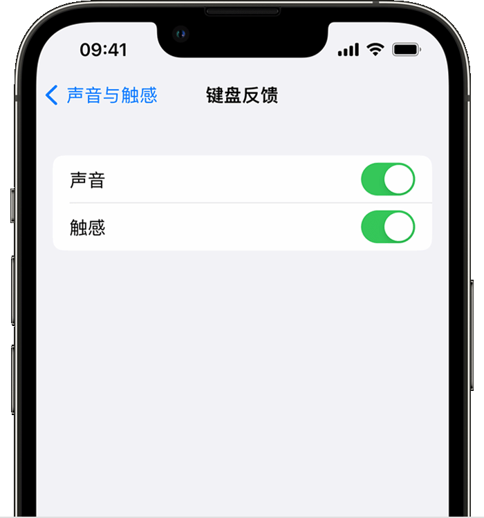 高青苹果14维修店分享如何在 iPhone 14 机型中使用触感键盘 