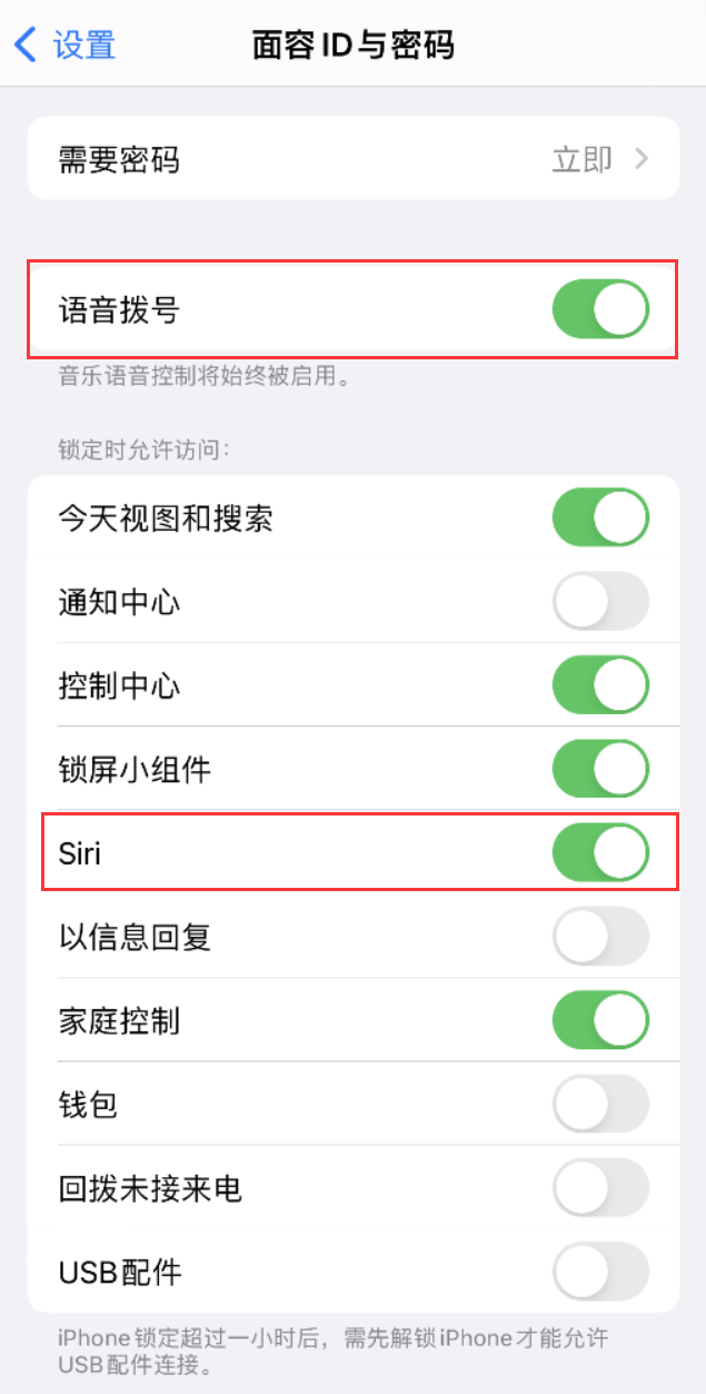 高青苹果维修网点分享不解锁 iPhone 的情况下通过 Siri 拨打电话的方法 