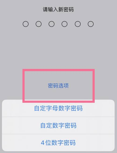 高青苹果14维修分享iPhone 14plus设置密码的方法 