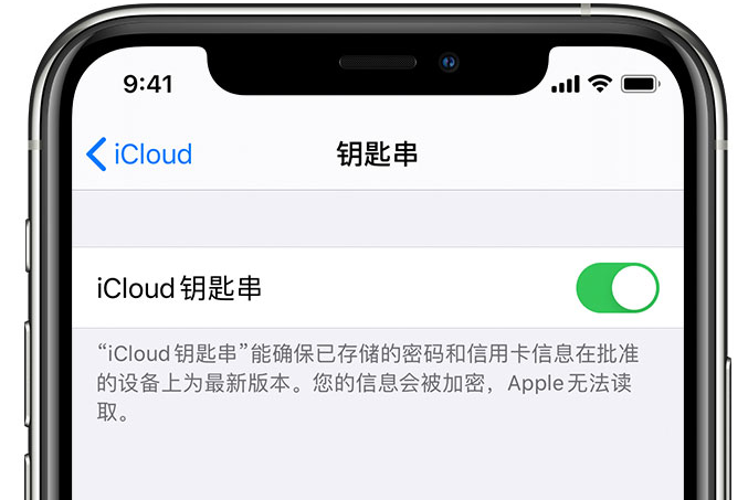 高青苹果手机维修分享在 iPhone 上开启 iCloud 钥匙串之后会储存哪些信息 