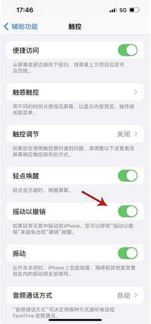 高青苹果手机维修分享iPhone手机如何设置摇一摇删除文字 